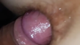 Papá Y Esposa Se Entregan Al Placer Anal Y Vaginal Casero