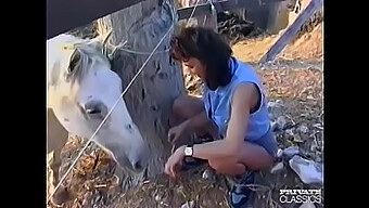 Sexe En Extérieur Vintage À La Campagne Avec Une Beauté Brune